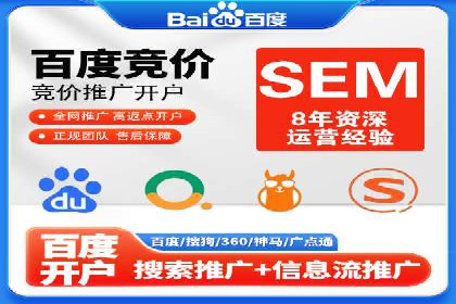某电商平台的SEM关键词策略及成效分析